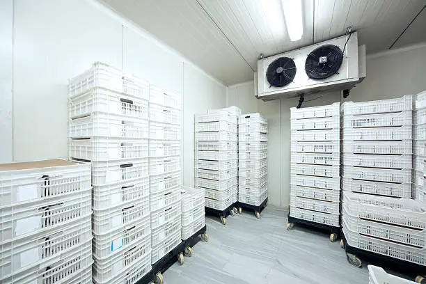 Cold Room calibration